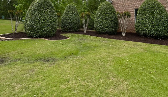 Manicured shrubs and fresh lawn