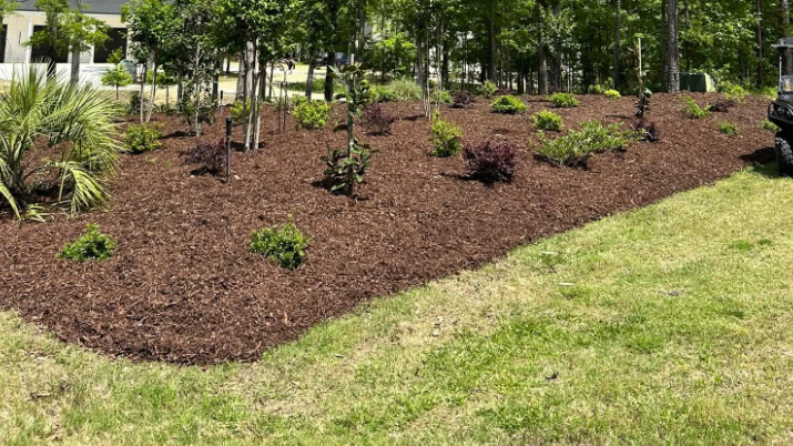 Fresh mulch bed with new plantings